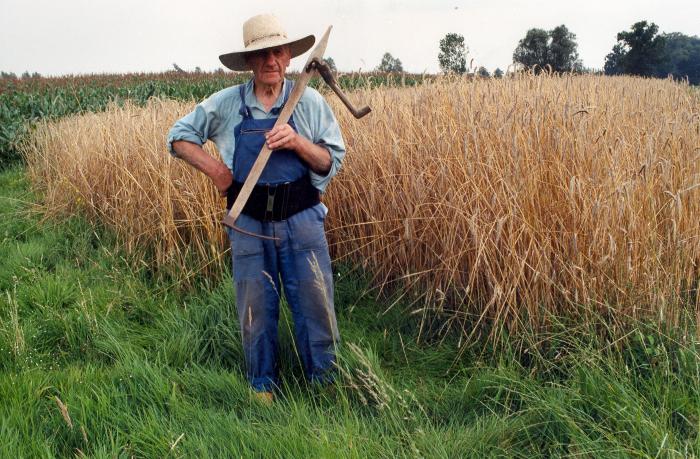Berlaar, Korenpikken, 1997