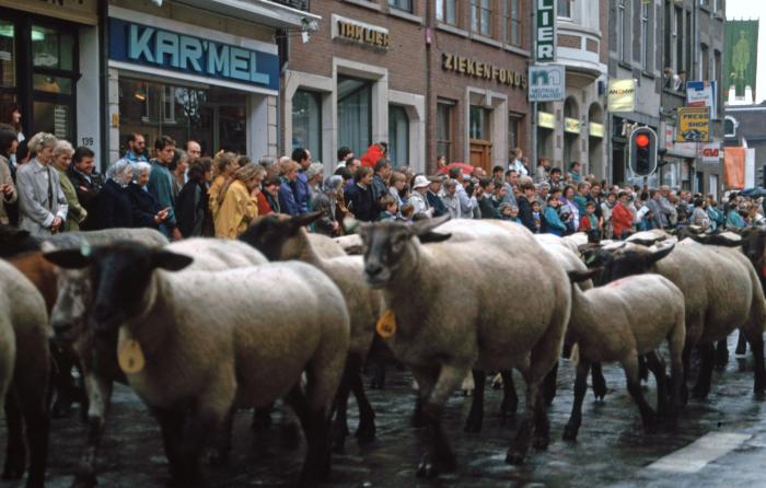 Lier, Sint-Gummarusommegang 1990