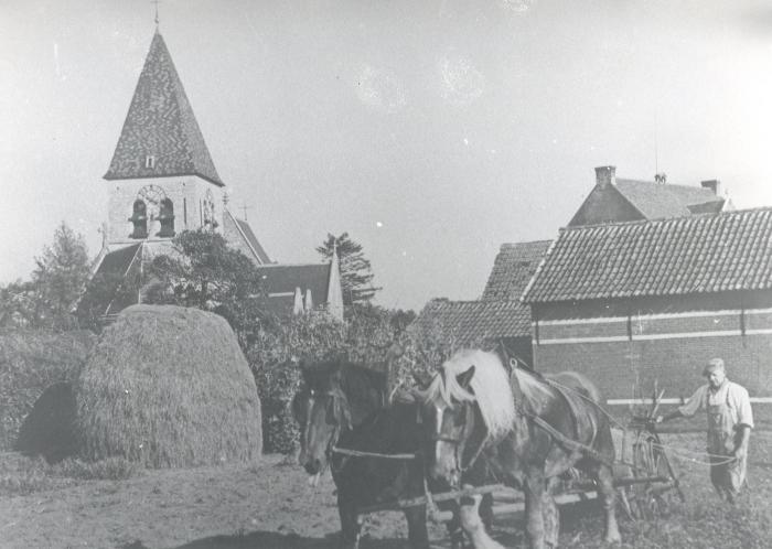 Berlaar, Landbouw