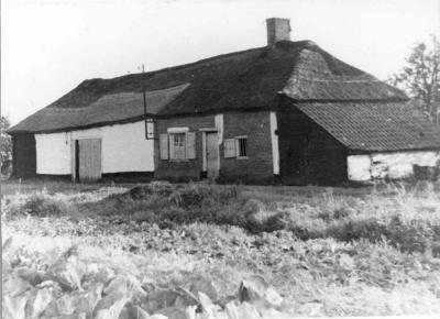 Lille, zeeldraaier op het Rolleken.