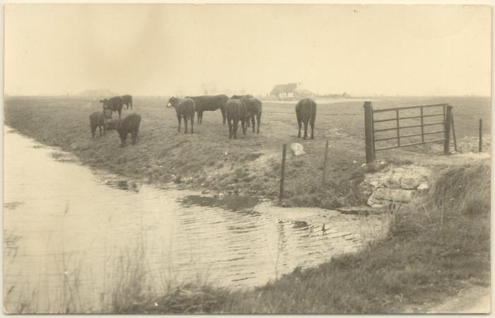 Lier, Renaat Veremans