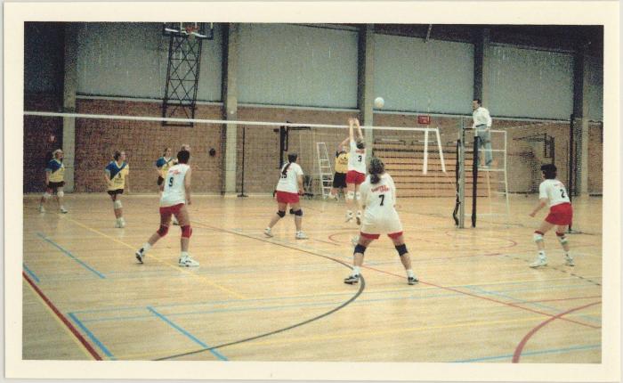 Lier, volleybal