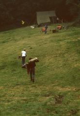 Berlaar, Scouts