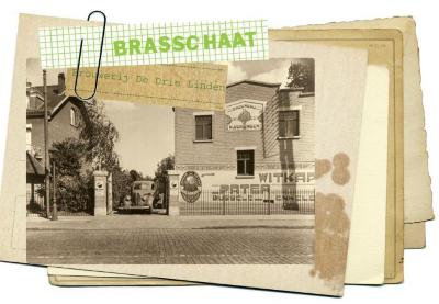 Brasschaat, Brouwerij De Drie Linden