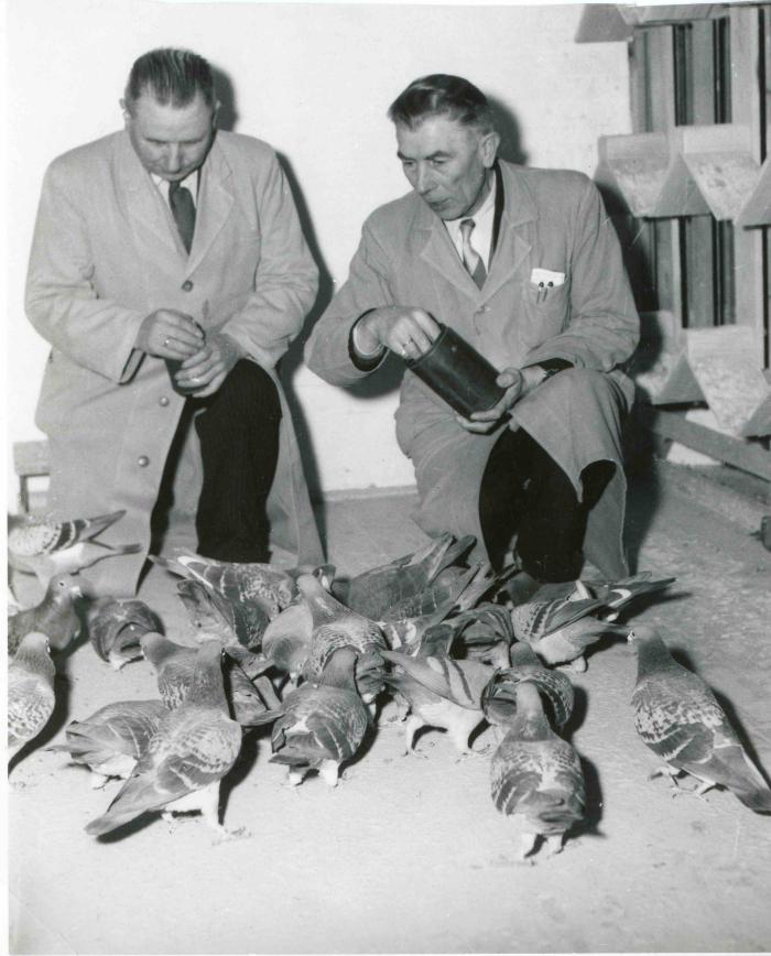 Berlaar, Jos Van den Bosch