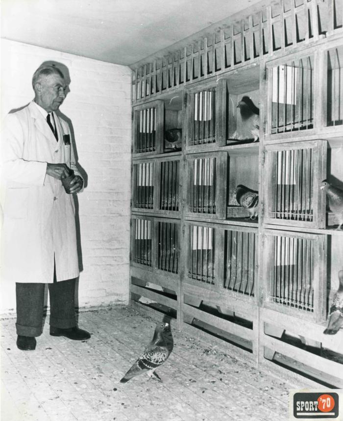 Berlaar, Jos Van den Bosch