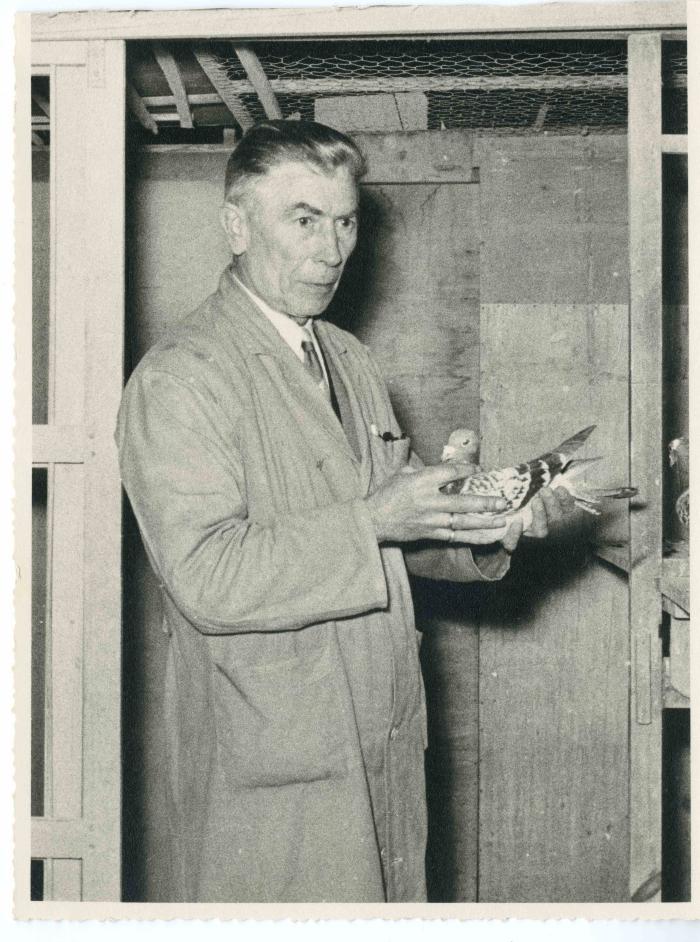 Berlaar, Jos Van den Bosch, 1956