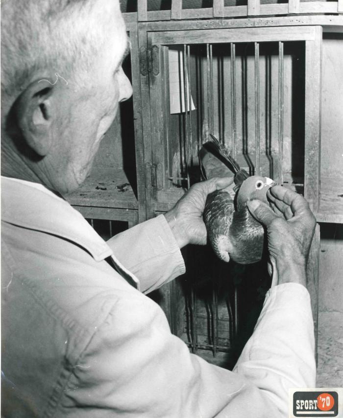 Berlaar, Jos Van den Bosch
