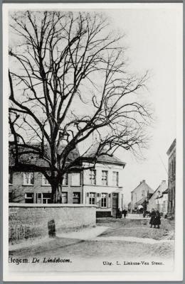 Heist-op-den-Berg, de lindeboom op het dorpsplein te Itegem