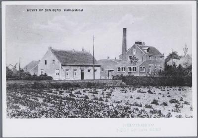 Heist-op-den-Berg, brouwerij 'De Leeuw' 
