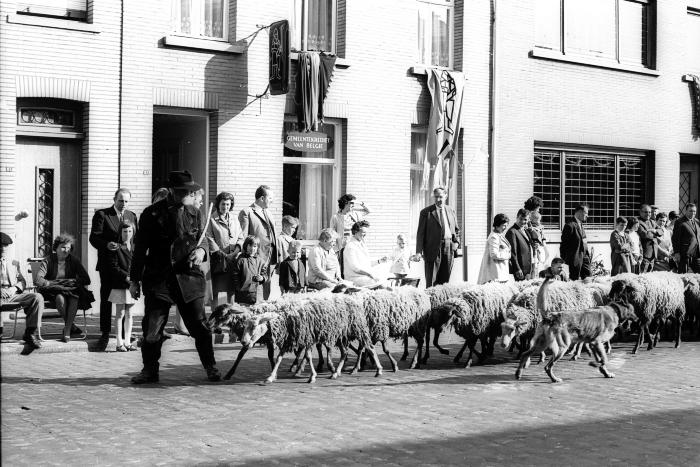 Putte, stoet 58