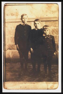 Familie de vocht