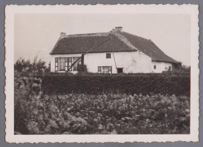 Putte, Sint-Antoniushoeve, Peulis
