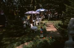 Berlaar, KBG, 2000