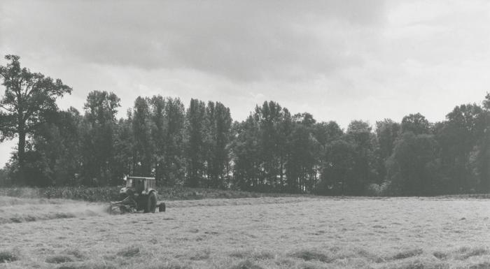 Berlaar, Langs de Beerslaan, 1987
