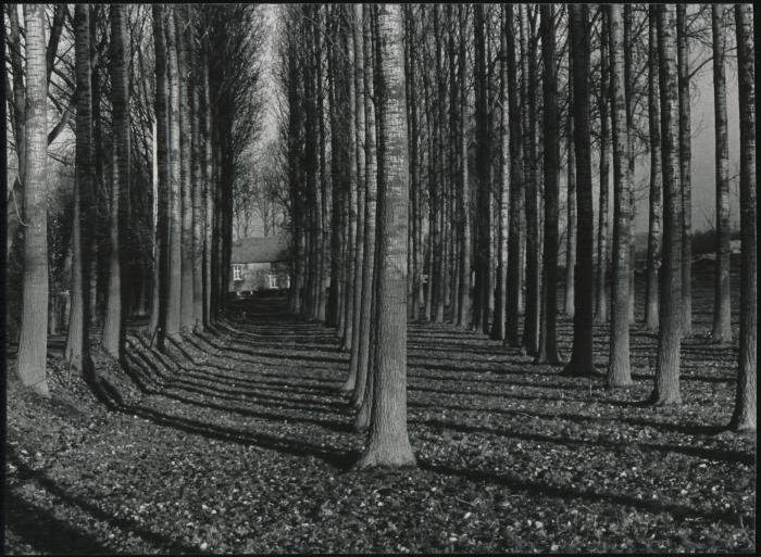 Berlaar, Slootjeshoeve II, 1987