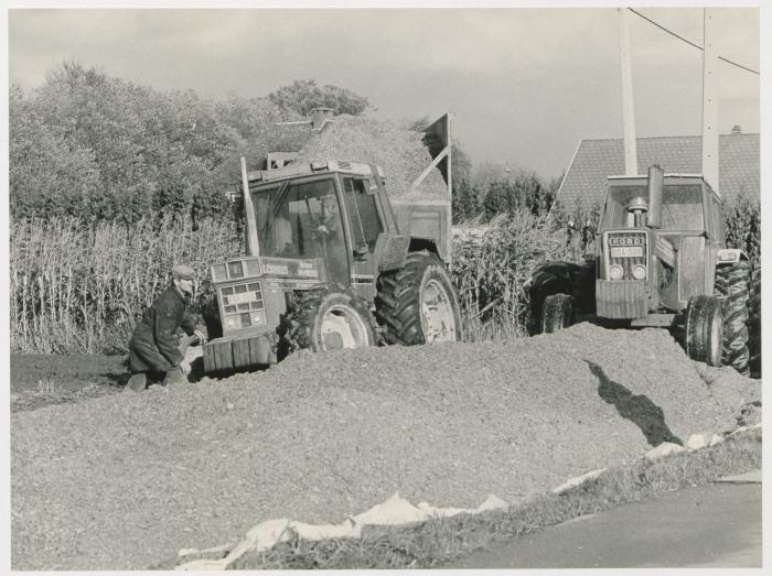 Berlaar, Maïsoogst IV, 1987