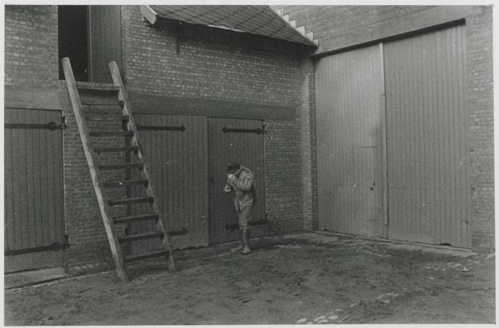 Berlaar, Boer met verkoudheid, 1987