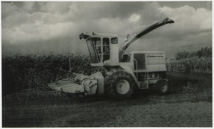 Berlaar, Voor het onweer, 1987