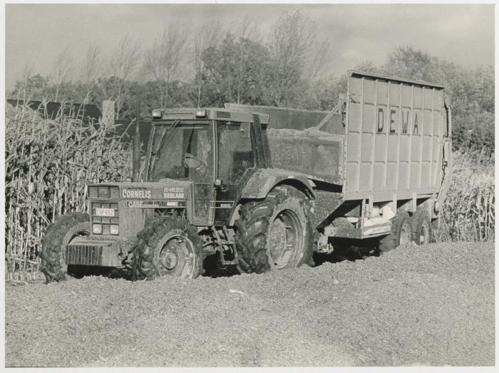 Berlaar, Maïsoogst I, 1987