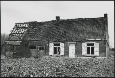Berlaar, Hoeve Melkouwen, 1987