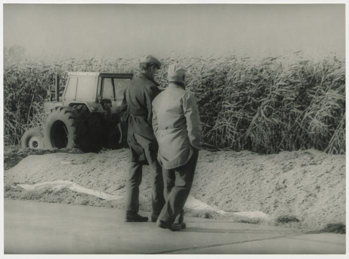 Berlaar, Aan de kant, 1987