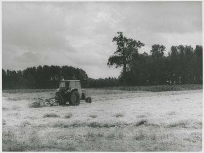 Berlaar, Tractor langs de Beerlaan, 1985