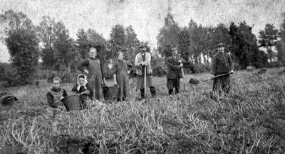Heist-op-den-Berg, groepsfoto op een aardappelveld te Schriek