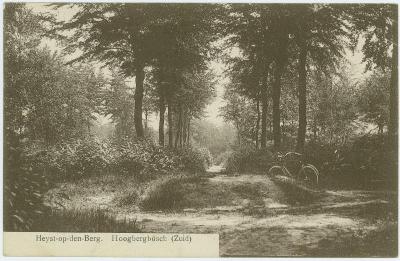 Heist-op-den-Berg, Hoogbergbos 