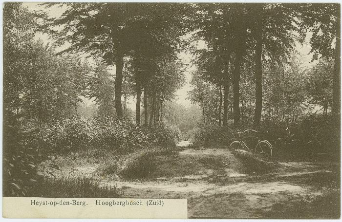 Heist-op-den-Berg, Hoogbergbos 