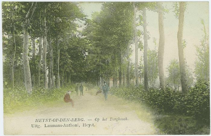 Heist-op-den-Berg, het Hoogbergbos