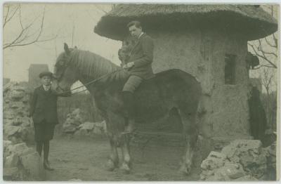 Heist-op-den-Berg, paard en ruiter