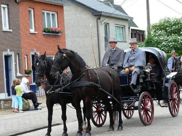 Heist-op-den-Berg, historische stoet in 2008 n.a.v. 1000 jaar Heist
