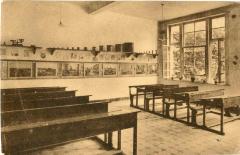 Berlaar, Schoolkolonie