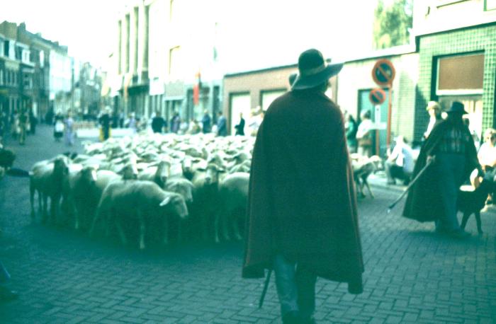 Lier, Zimmertorencavalcade 1980