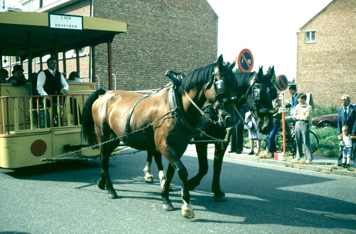Lier, Zimmertorencavalcade 1980