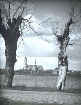 Lier, Panorama met de Sint-Gummaruskerk
