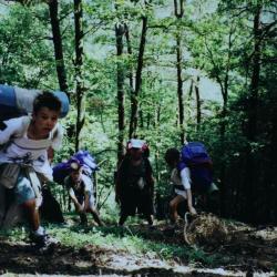 Berlaar, Scouts, 1999