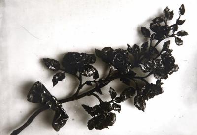 Lier, Louis Van Boeckel