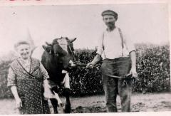 Nijlen
