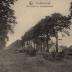 Grobbendonk, Scouts Bosvogels