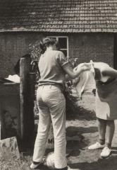 Grobbendonk, Scouts Bosvogels