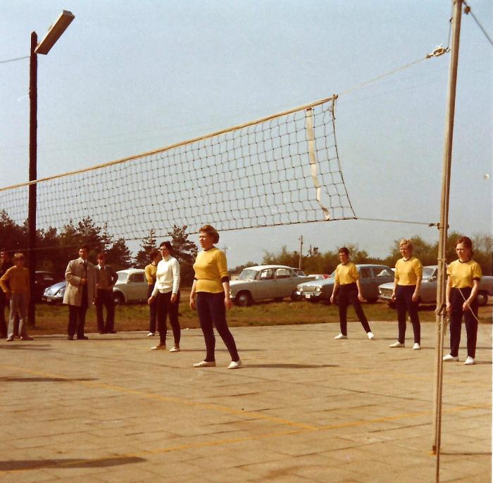 Nijlen, Volley bal