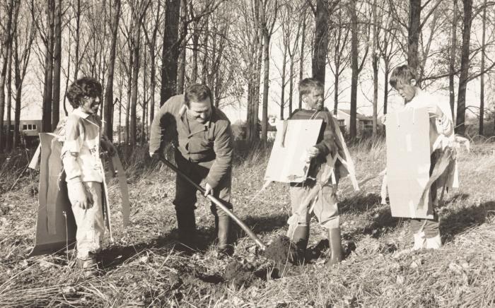 Lier, boomplanting