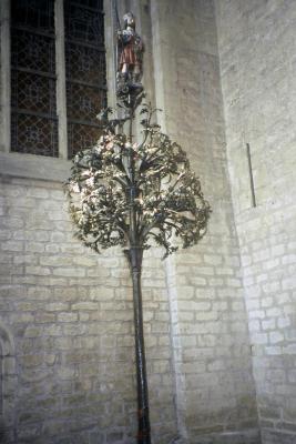 Lier, boom van Sint-Gummarus
