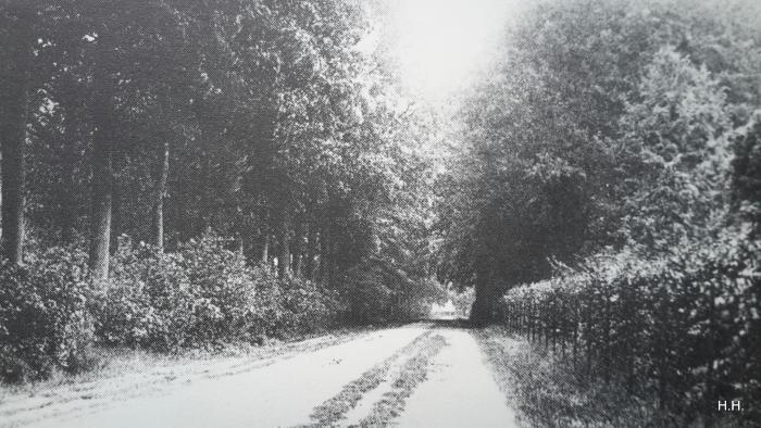 Viersel, Vierselbaan, 1910
