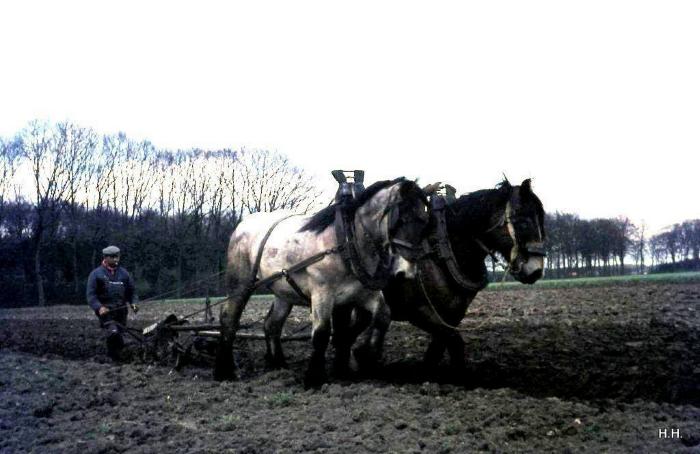 Grobbendonk, Brabandse ploeg, 1974