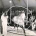 Lier, circus Demuynck