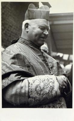 Lier, Kardinaal Van Roey