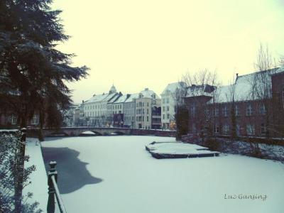 Lier, Winter 2018